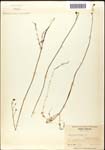 000060931-thumbnail.jpg