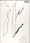 000060934-thumbnail.jpg