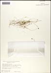 000060940-thumbnail.jpg