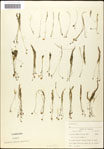 000060941-thumbnail.jpg