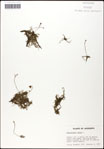 000060942-thumbnail.jpg