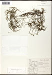000060943-thumbnail.jpg