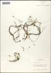 000060945-thumbnail.jpg