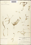 000060946-thumbnail.jpg