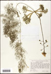 000060947-thumbnail.jpg