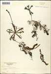 000060951-thumbnail.jpg
