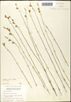 000060957-thumbnail.jpg