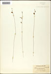 000060958-thumbnail.jpg