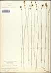 000060959-thumbnail.jpg