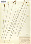 000060960-thumbnail.jpg