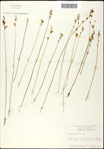 000060962-thumbnail.jpg