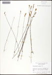 000060963-thumbnail.jpg
