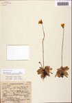 000060976-thumbnail.jpg