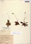 000060989-thumbnail.jpg