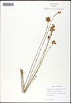 000060994-thumbnail.jpg