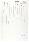 000060995-thumbnail.jpg