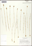 000060996-thumbnail.jpg