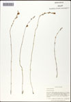 000060998-thumbnail.jpg