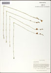 000060999-thumbnail.jpg