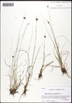 000061134-thumbnail.jpg