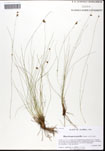 000061243-thumbnail.jpg