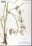 000061270-thumbnail.jpg