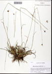 000061282-thumbnail.jpg