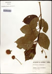 000061298-thumbnail.jpg