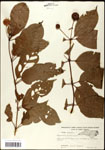 000061303-thumbnail.jpg