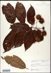 000061310-thumbnail.jpg