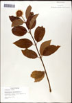 000061314-thumbnail.jpg