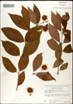 000061315-thumbnail.jpg