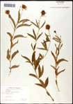 000061317-thumbnail.jpg