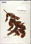 000061320-thumbnail.jpg
