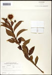 000061321-thumbnail.jpg