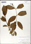 000061322-thumbnail.jpg