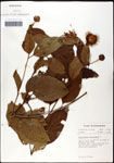 000061324-thumbnail.jpg