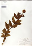 000061327-thumbnail.jpg