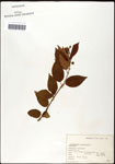 000061328-thumbnail.jpg
