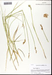 000061440-thumbnail.jpg