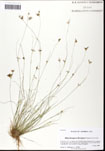 000061445-thumbnail.jpg
