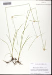 000061446-thumbnail.jpg