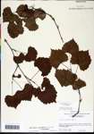 000061454-thumbnail.jpg