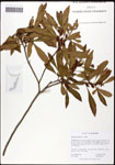 000061474-thumbnail.jpg