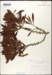 000061475-thumbnail.jpg