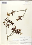 000061476-thumbnail.jpg