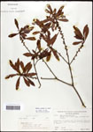 000061477-thumbnail.jpg