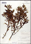000061478-thumbnail.jpg