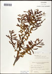 000061480-thumbnail.jpg