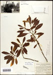 000061482-thumbnail.jpg